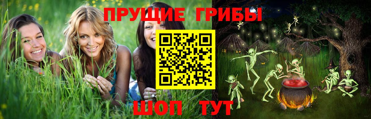 Псилоцибиновые грибы мицелий Тайшет