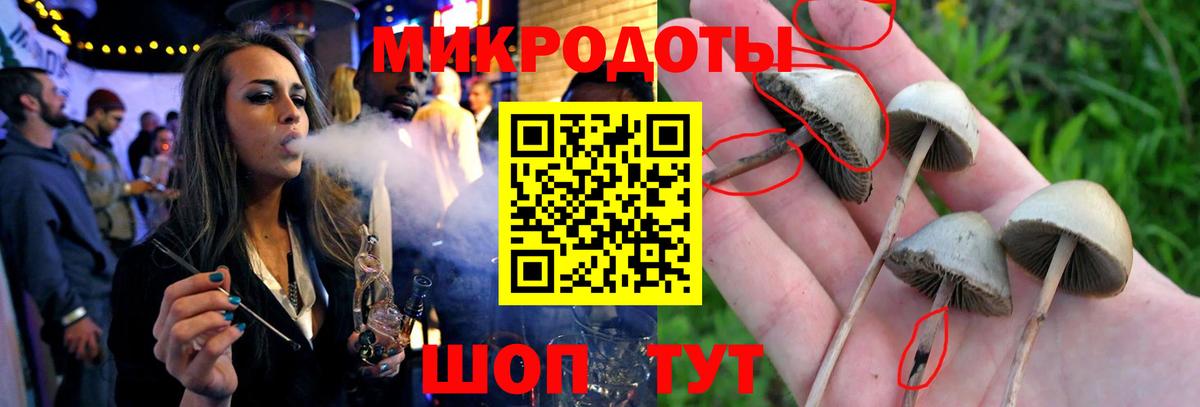 Галлюциногенные грибы Magic Shrooms  Галлюциногенные грибы Cubensis  Тайшет  Вход с VPN 